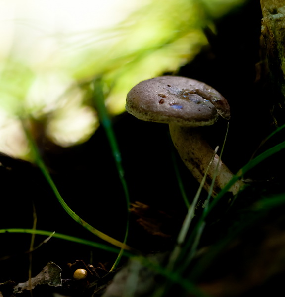 wKgBm04XoJvDjAUxAAFWns28yqY83.jpeg?imageView2%2F2%2Fw%2F680%2Fq%2F90%7CimageMogr2%2Fstrip%2Fquality%2F90