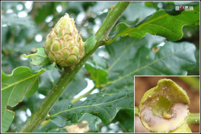 wKgBm03dBUPvymWcAANFdOMRp8M70.jpeg?imageView2%2F2%2Fw%2F600%2Fq%2F90%7CimageMogr2%2Fstrip%2Fquality%2F90