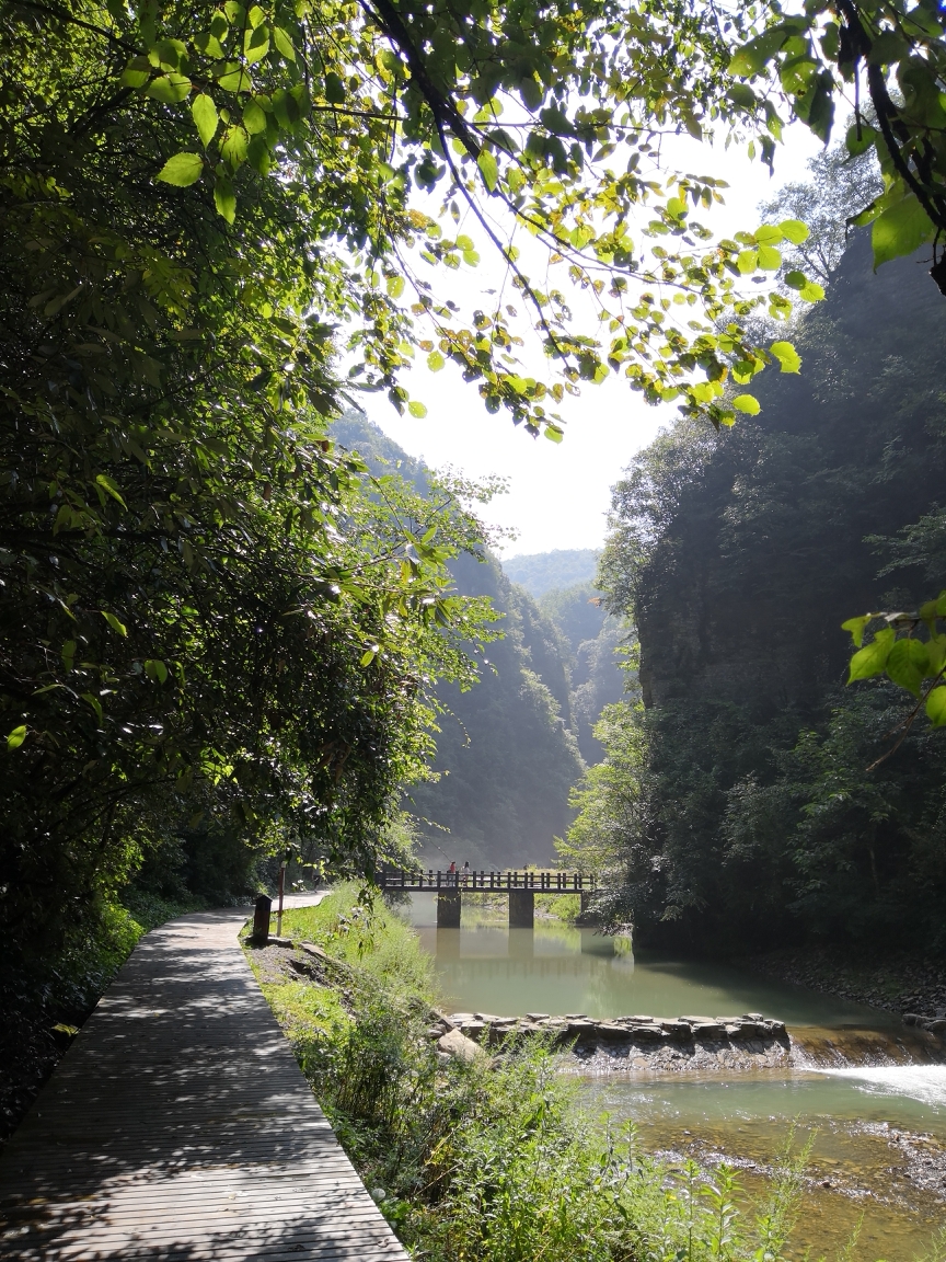 龙桥河          