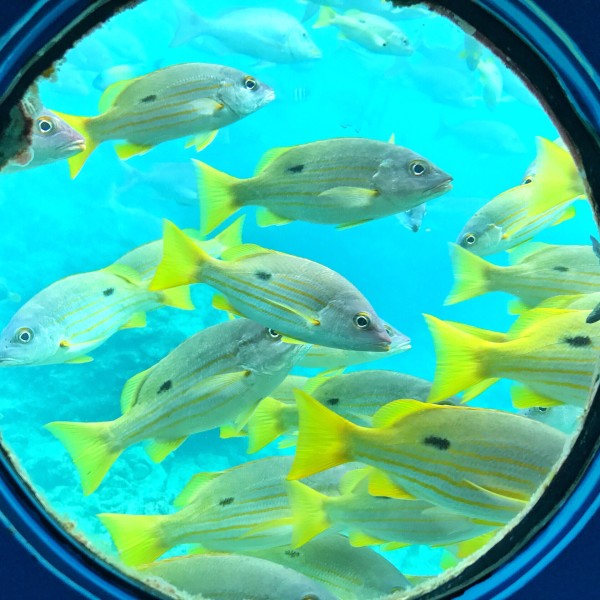 纯干货又来了!冲绳亲子游攻略