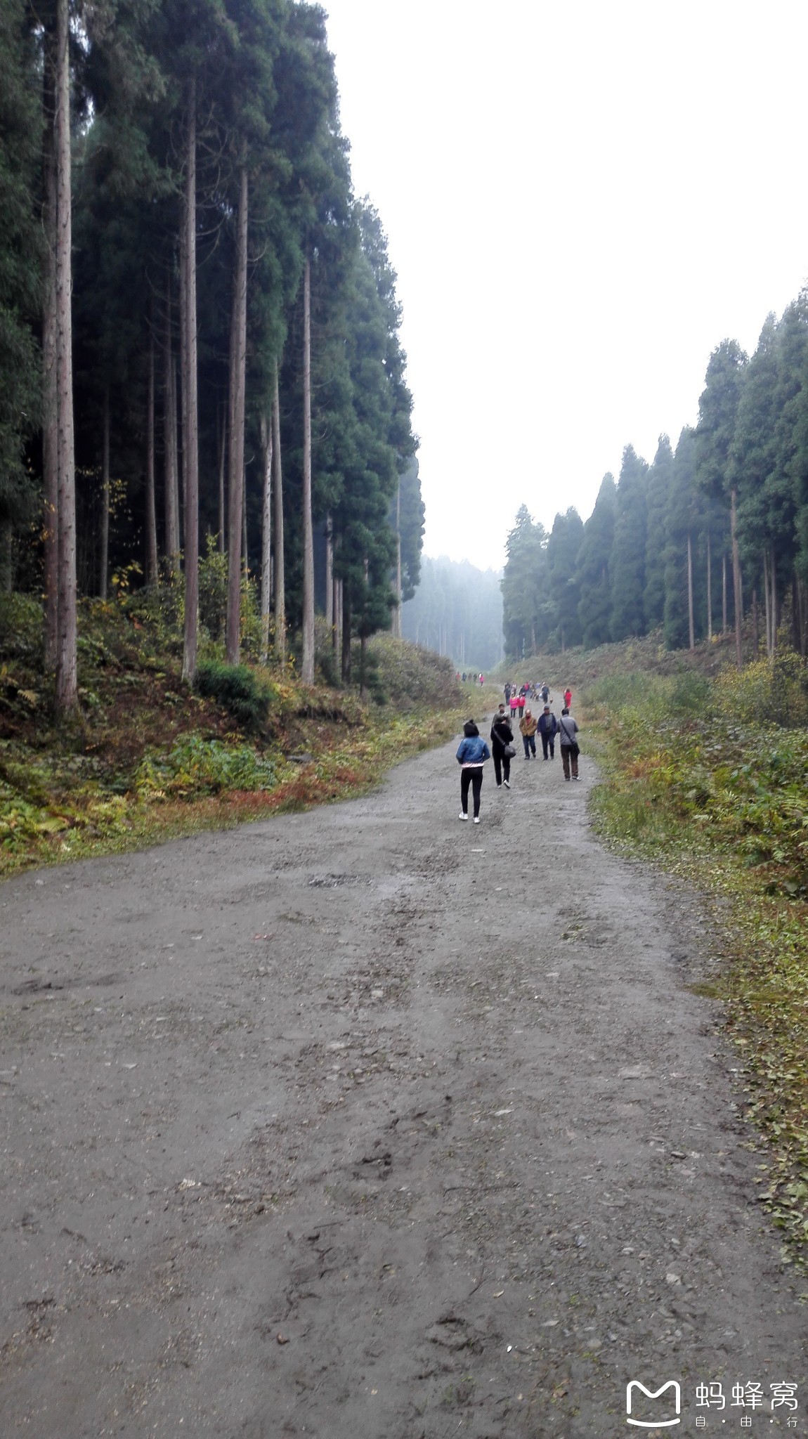 2017年11节:崇州麻枊沟穿越鸡冠山