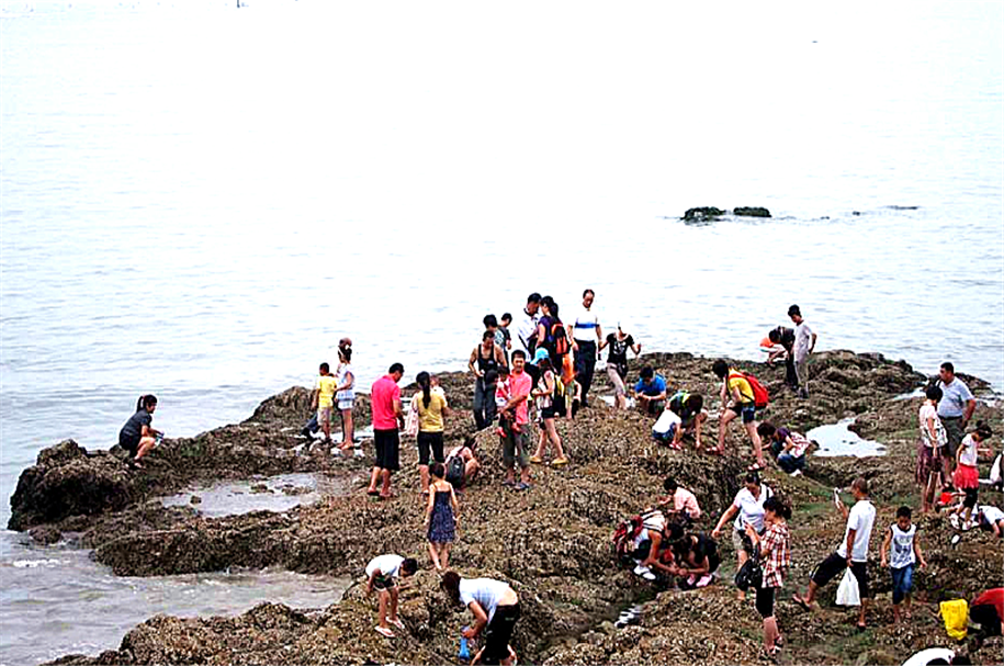 日照 自由行攻略                     张家台,李家台,任家台.