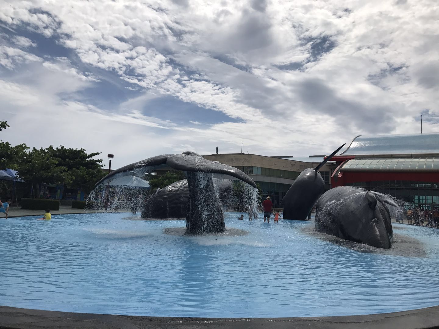水族有多少人口_北流隆盛镇有多少人口(3)