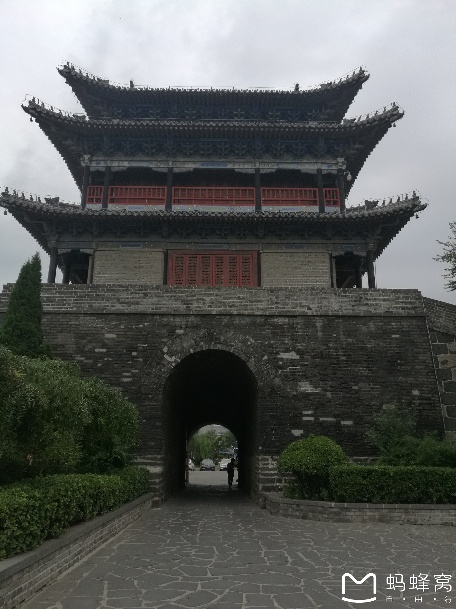 振扬门