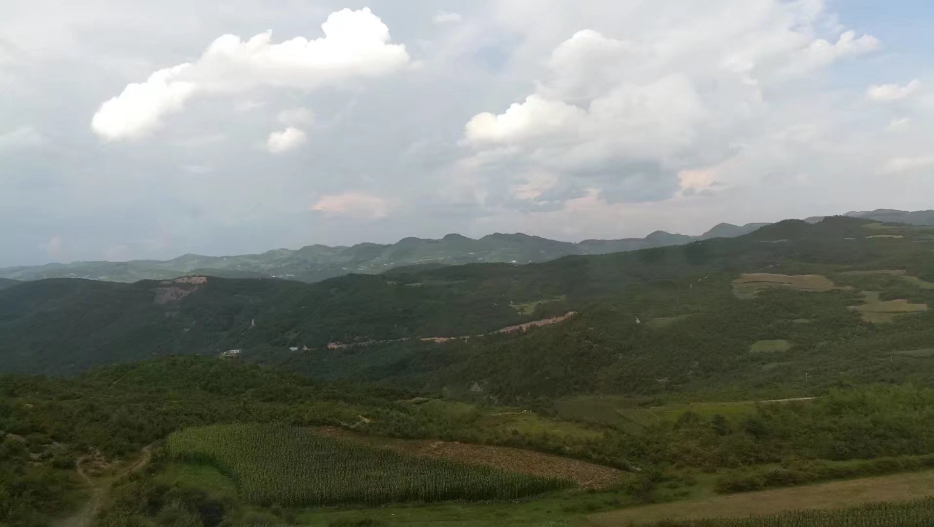 五粮液一年gdp的产值_一年四季图片