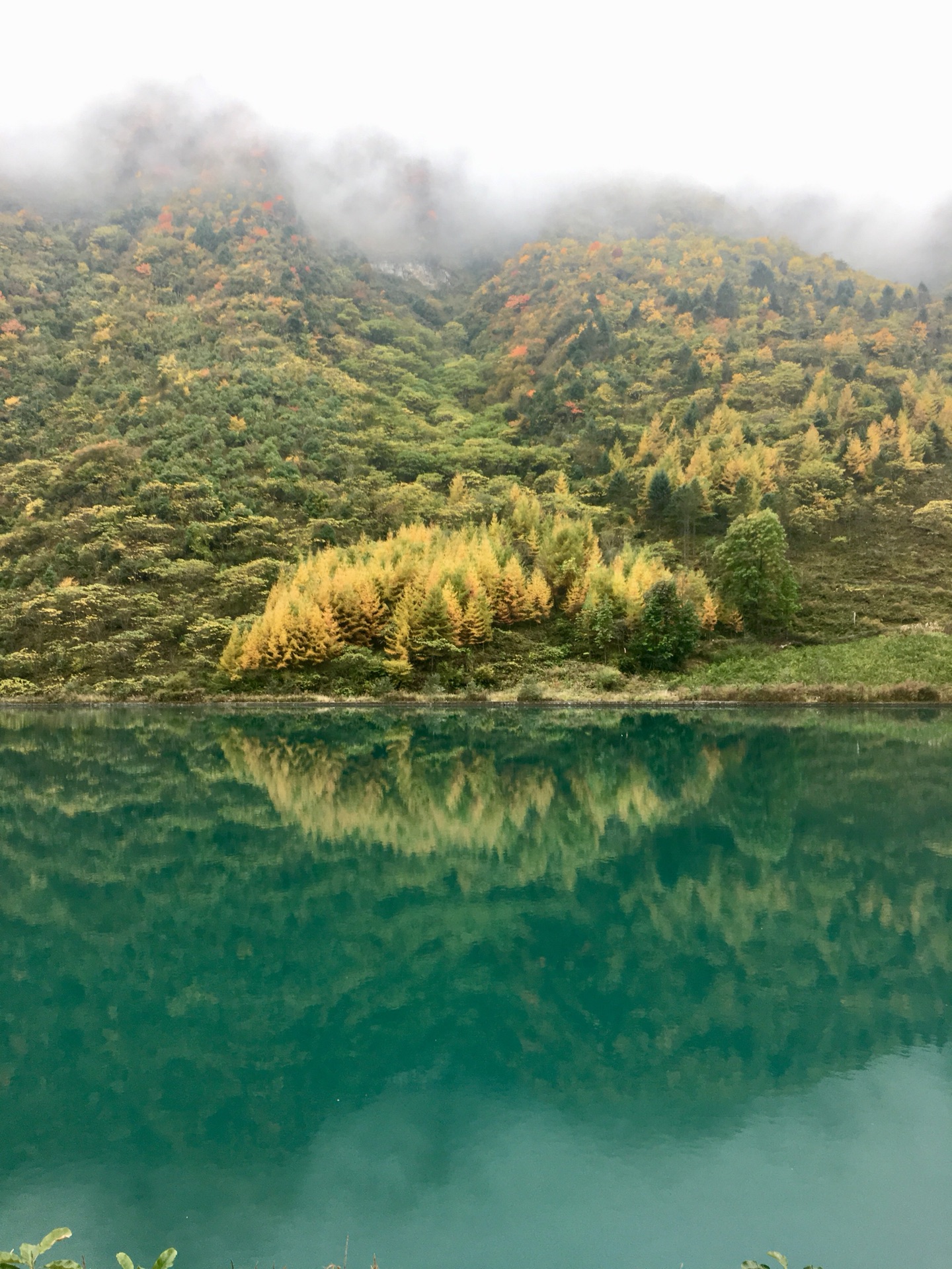 阿坝州多少人口_阿坝州地图(2)