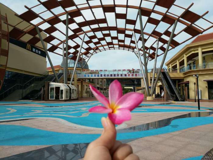 春节适合全家的旅游地,国内或国外都可以