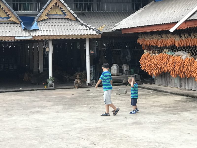 关门节人口_傣族关门节的图片