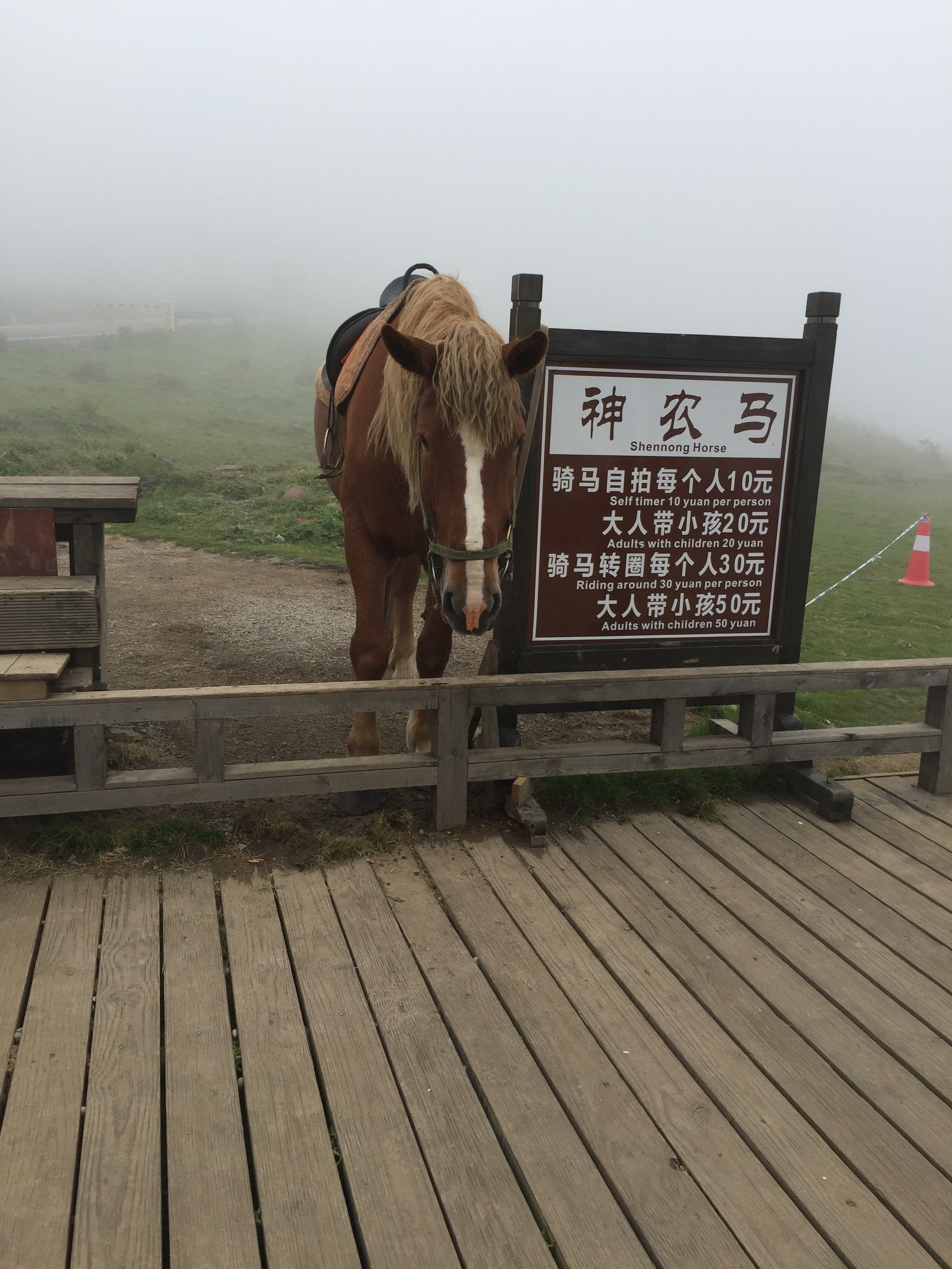 神农架多少人口_神农架野人(3)