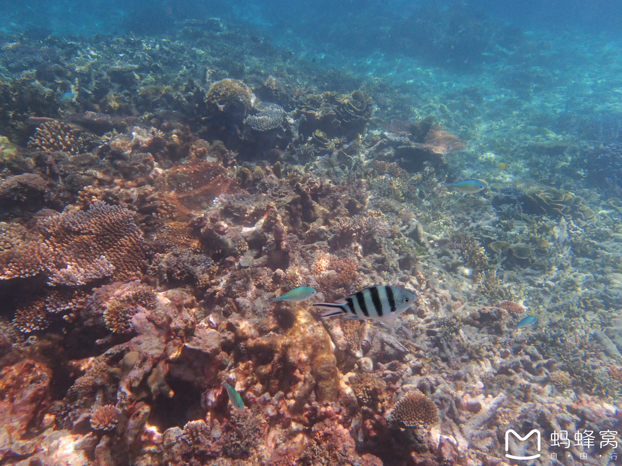 wKgBZ1jY2nSAPFN2AA39g-ayTlU89.jpeg?imageView2%2F2%2Fw%2F600%2Fh%2F600%2Fq%2F90