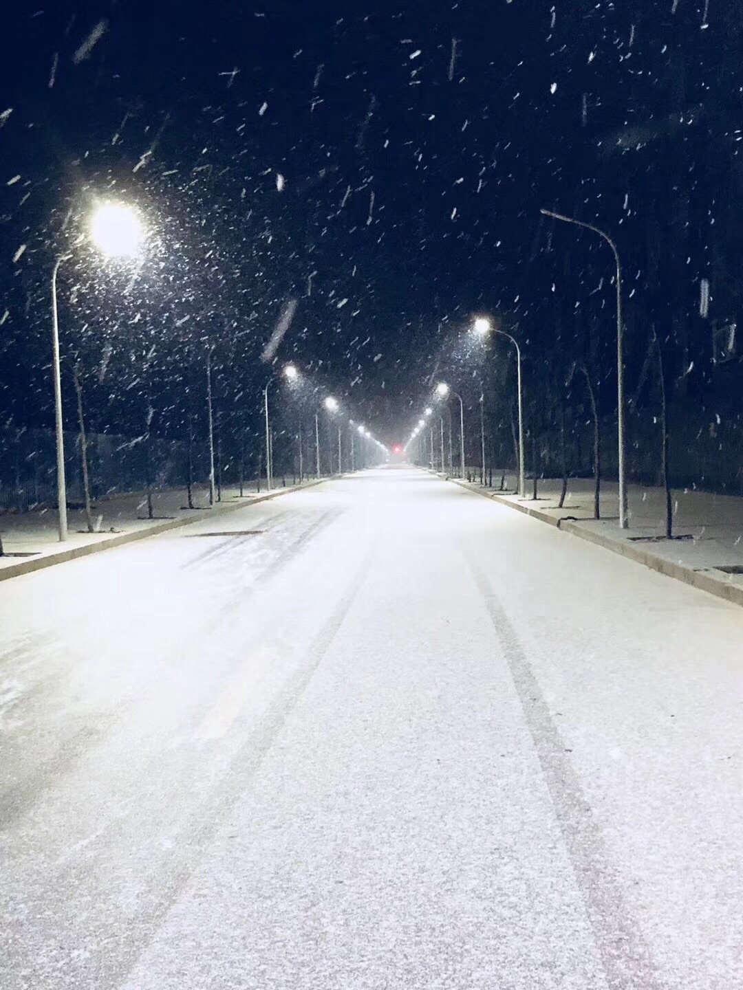 大雪纷纷何所似.