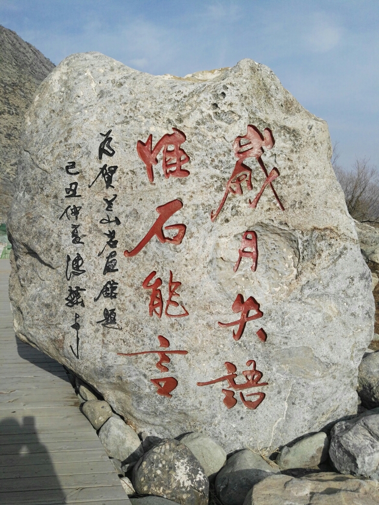 大脍人口(2)
