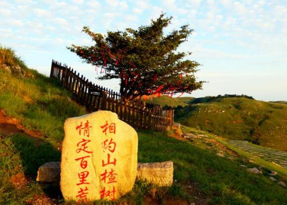 宜昌市黄花镇人口_宜昌市洋坪镇洋坪中学(3)