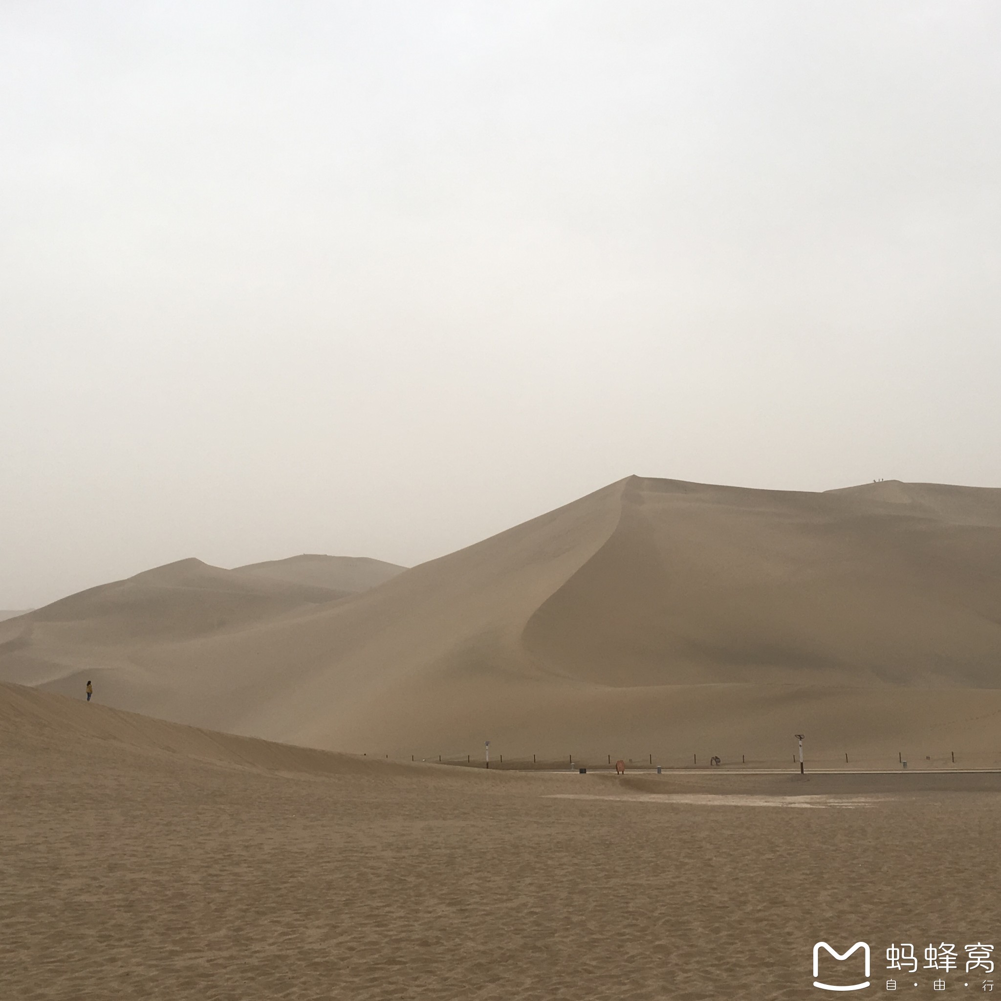 wKgBZ1mubDOAZhYGAAXUcovUBxo20.jpeg?imageView2%2F2%2Fw%2F600%2Fh%2F600%2Fq%2F90