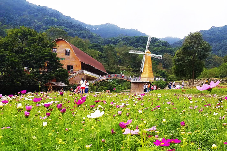 广州增城金叶子温泉酒店1晚(二龙山梯田花海门票 早餐