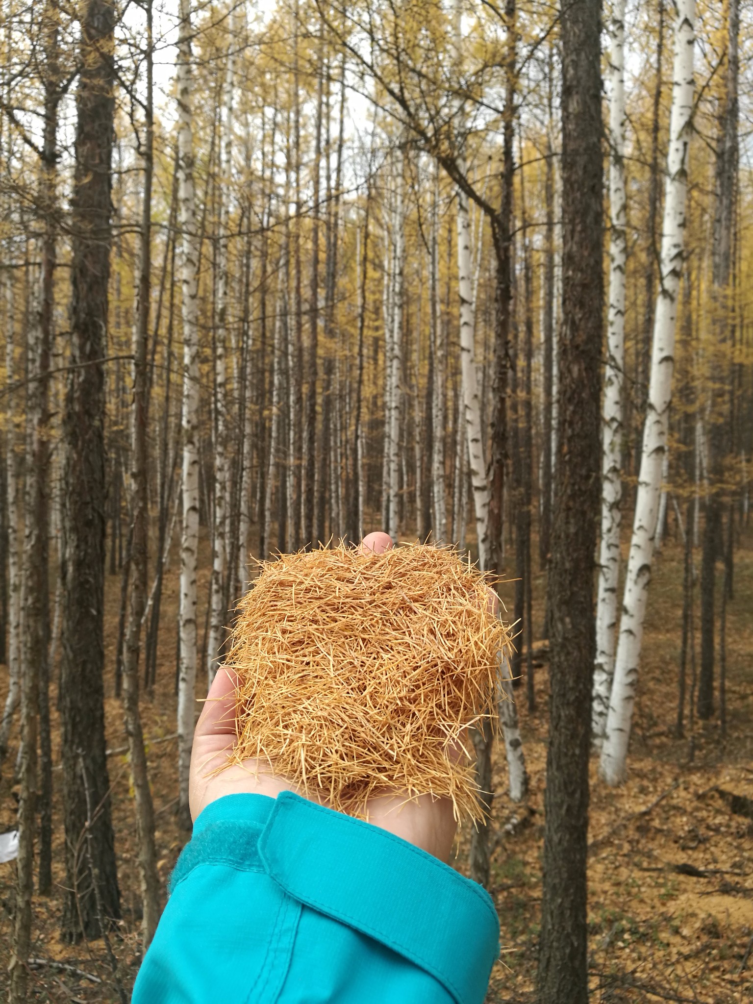 高山漏水古筝曲曲谱(3)