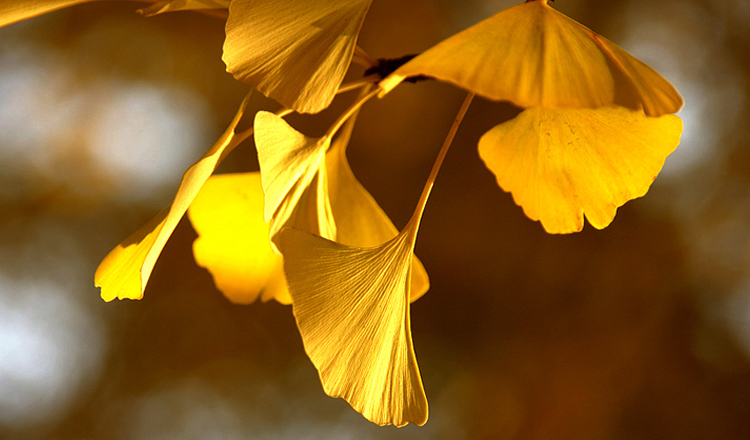 wKgBZ1nhh3-AJ4RtAAQCeKGfYn440.jpeg?imageView2%2F2%2Fw%2F510%2Fh%2F8000%2Fq%2F100