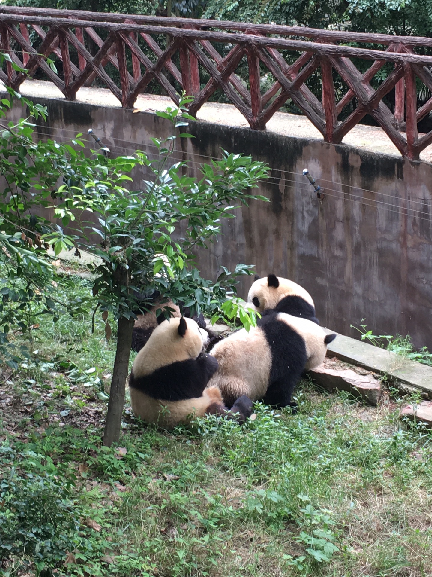 一个人睡觉一个求字是什么成语_一个人的图片带字伤感(2)