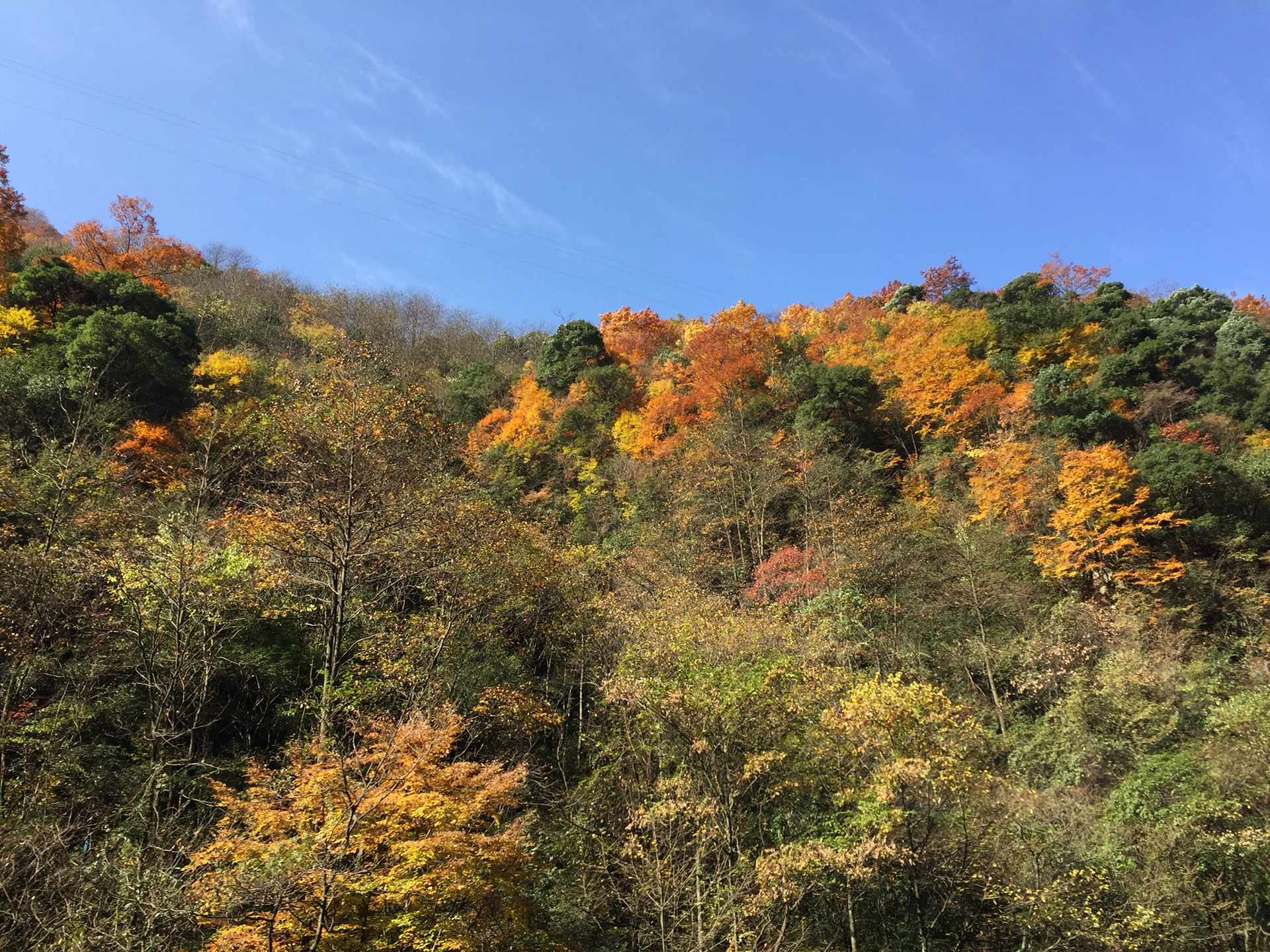 巴中南江县光雾山风景区