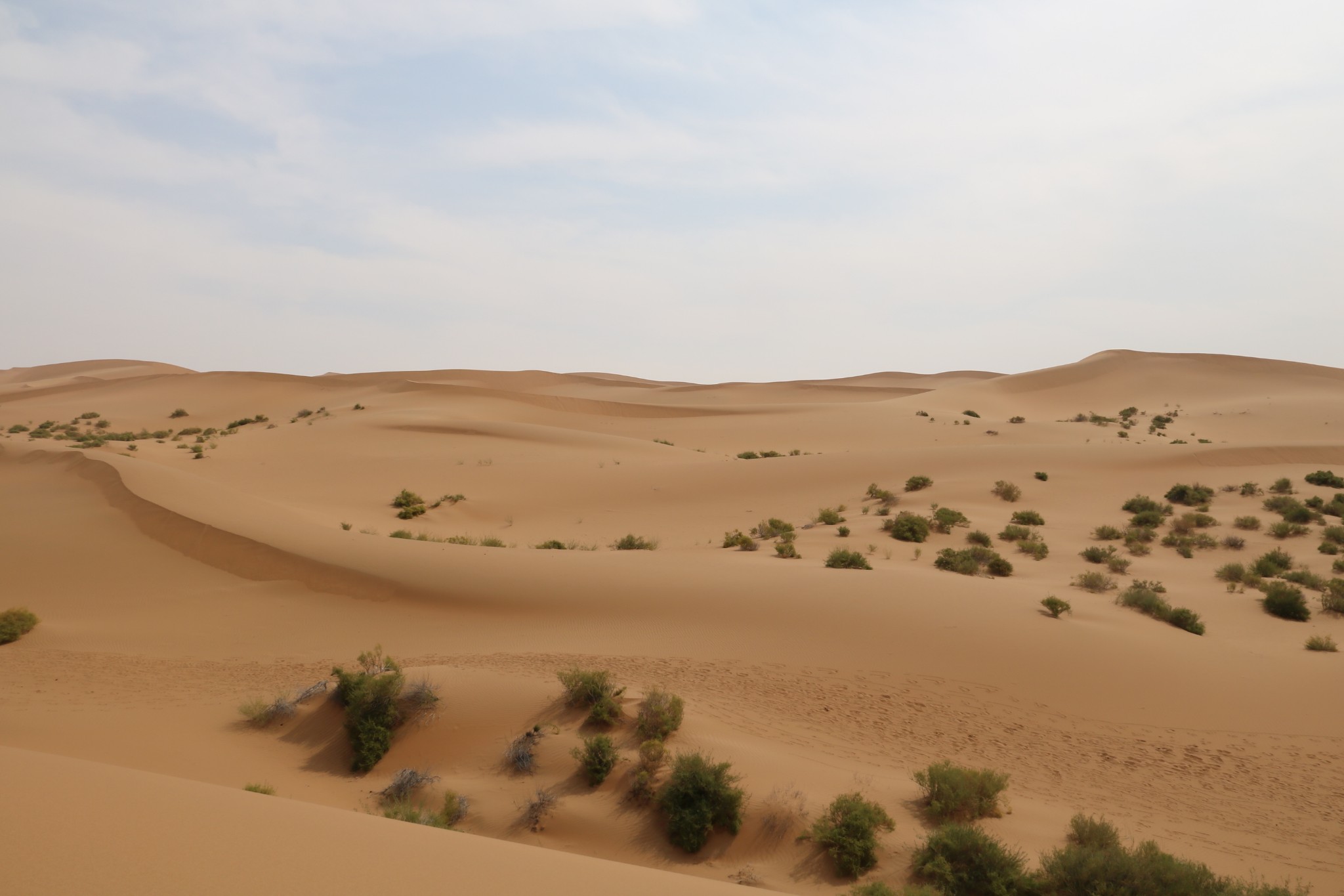 wKgBZ1ngy8eABEQ8AAQgTHBRCoY27.jpeg?imageView2%2F2%2Fw%2F600%2Fh%2F600%2Fq%2F90