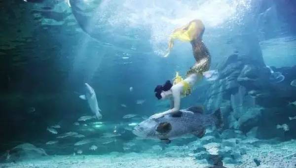 wKgBZ1kapaqAbXMnAABXA87xk-495.jpeg?imageView2%2F2%2Fw%2F580%2Fh%2F9999%2Fq%2F100