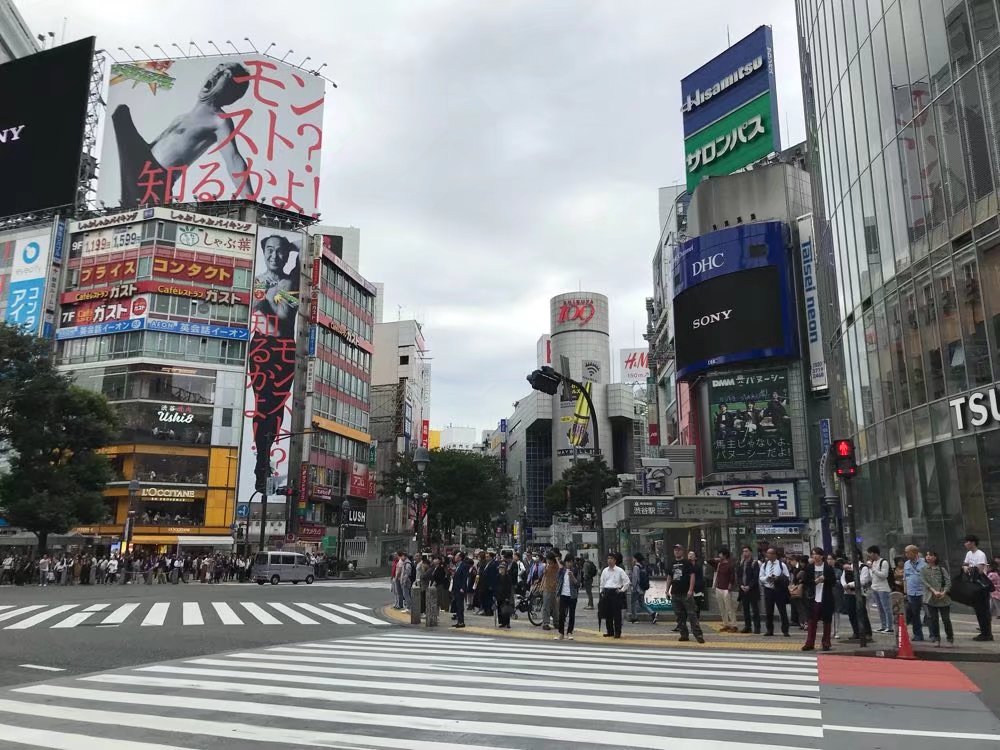 大阪,京都和东京的七日漫步