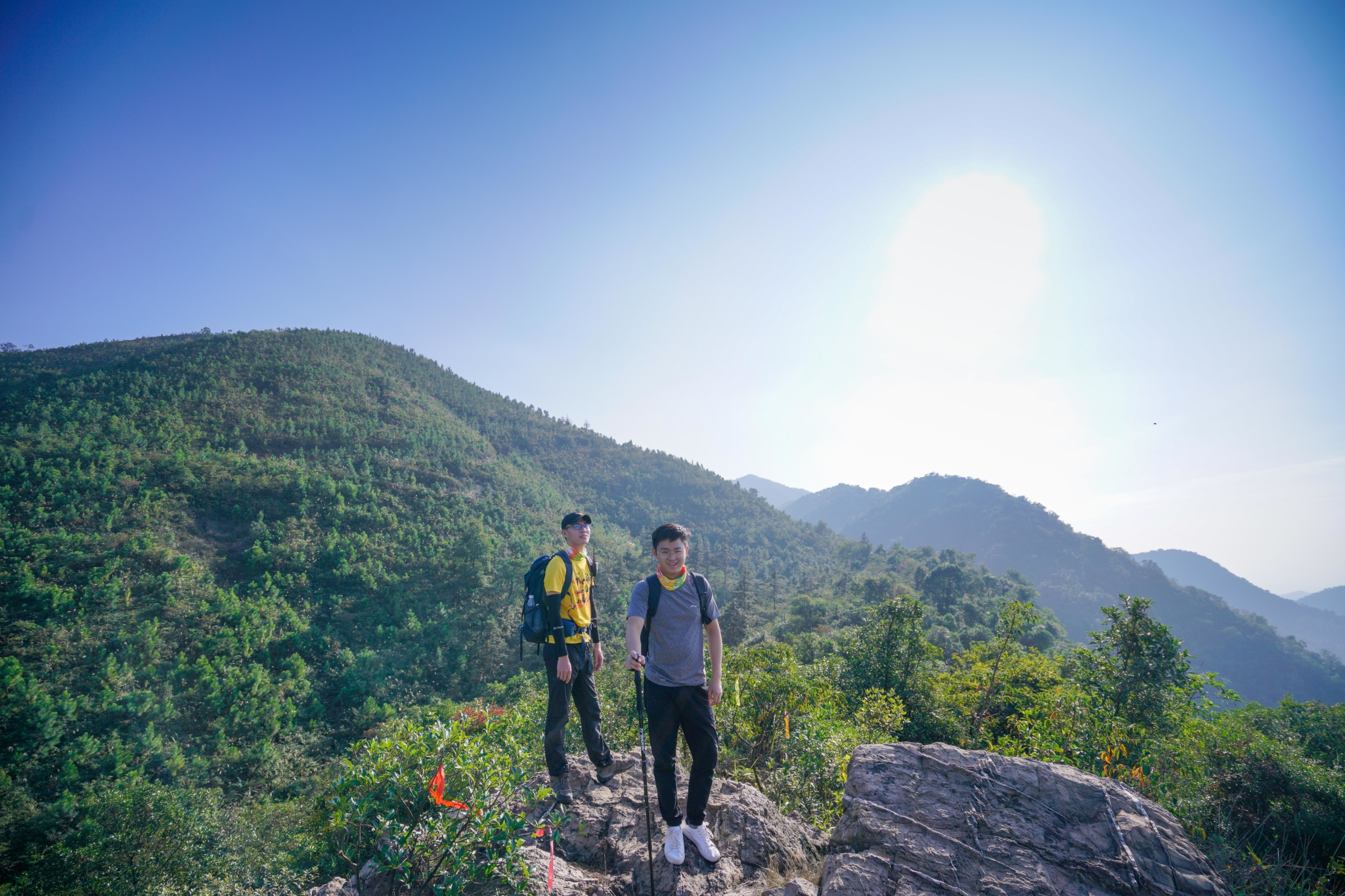 佛山高明茶山,只为拍照不为鸡之旅~,高明区自助游攻略