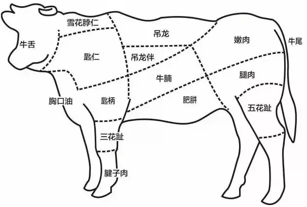      :牛肉部位图