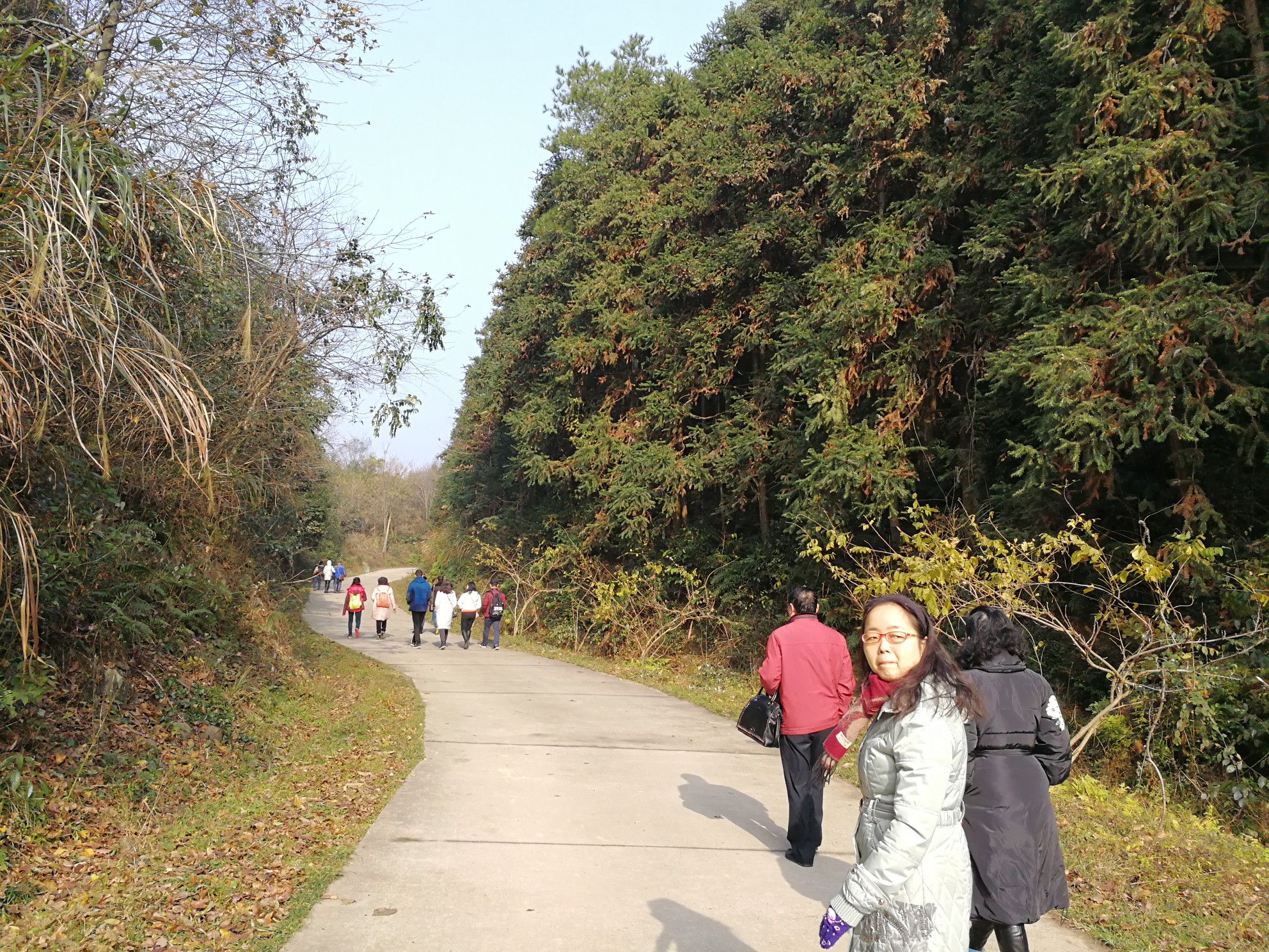 永修有多少人口_为什么丰城人都想并入南昌 南昌大都市区包括哪些地方