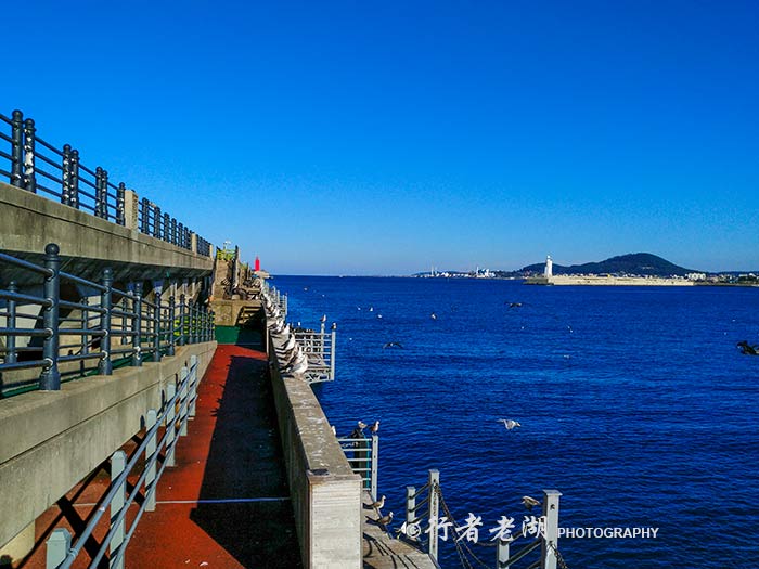 济州岛人均_韩国济州岛图片(2)