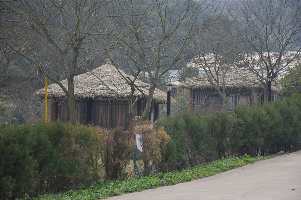wKgBZ1i74n2AMoHcAAjlxnqQ45I44.jpeg?imageView2%2F2%2Fw%2F600%2Fh%2F600%2Fq%2F90