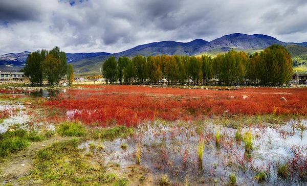 成都到泸定县有好多公里,怎样走?