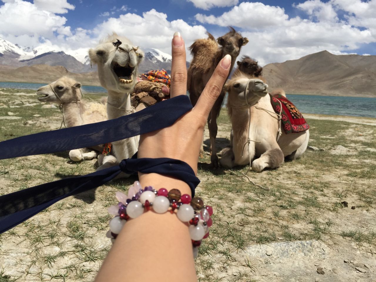 wKgBZ1jIyaOABfWHAAMM-IJ_yHQ49.jpeg?imageView2%2F2%2Fw%2F600%2Fh%2F600%2Fq%2F90