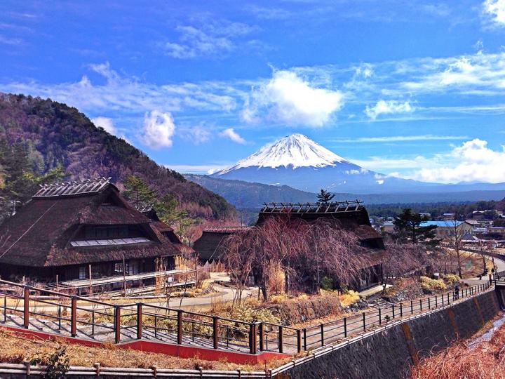 合掌村 伏见稻荷大社 奈良鹿公园 -镰仓高校前站 秋叶原动漫街 只园