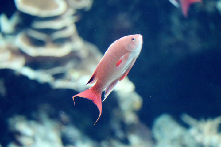 wKgBZ1ifD5uAac1mAABtYZgkQoc95.jpeg?imageView2%2F2%2Fw%2F600%2Fh%2F600%2Fq%2F90