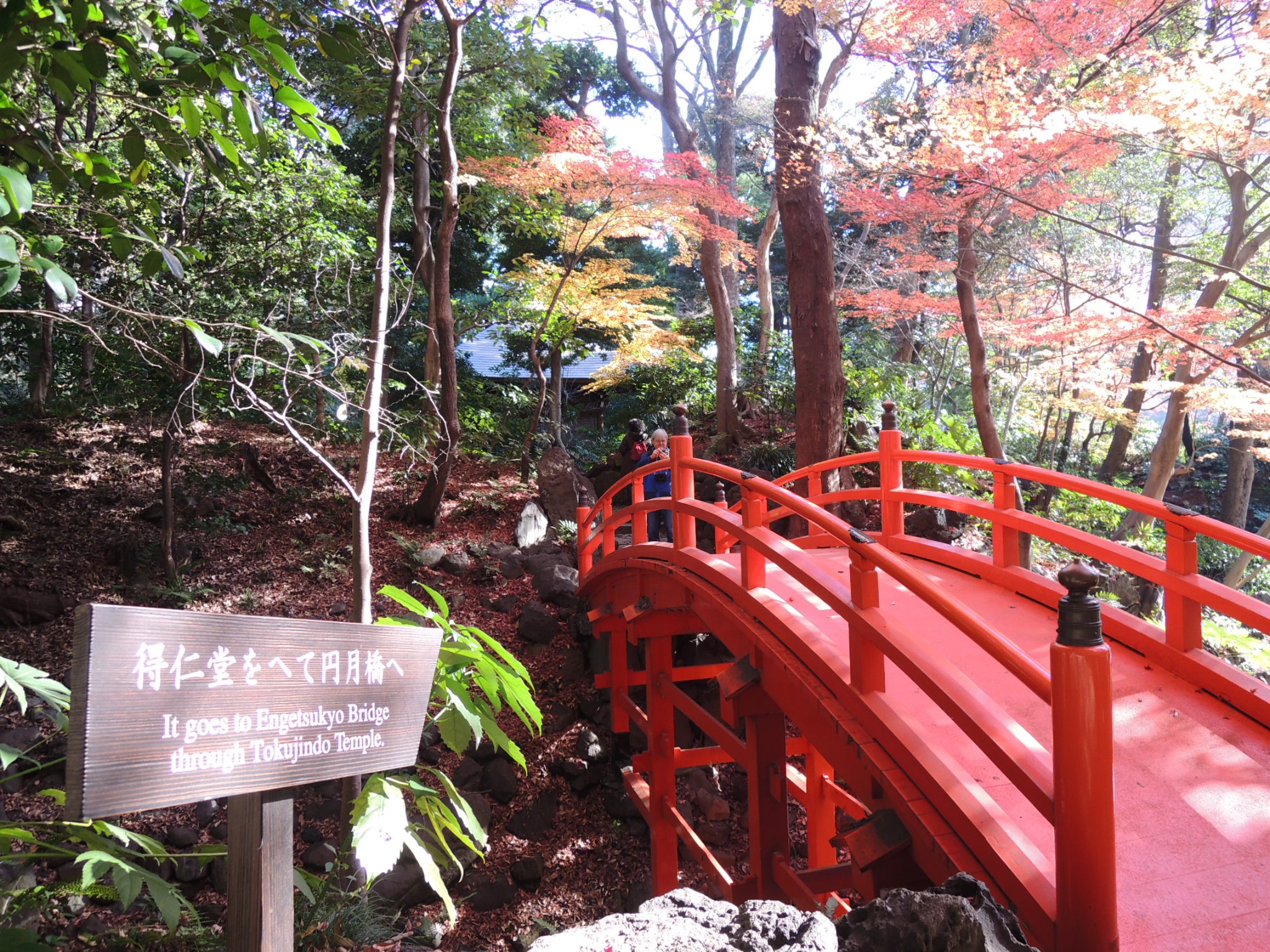 东京都立小石川后乐园