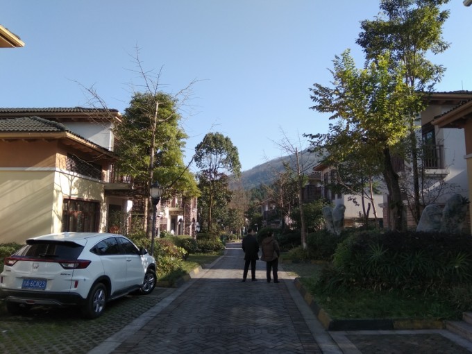 大邑花水湾王山别墅静闲居建庭院设计自别墅图片