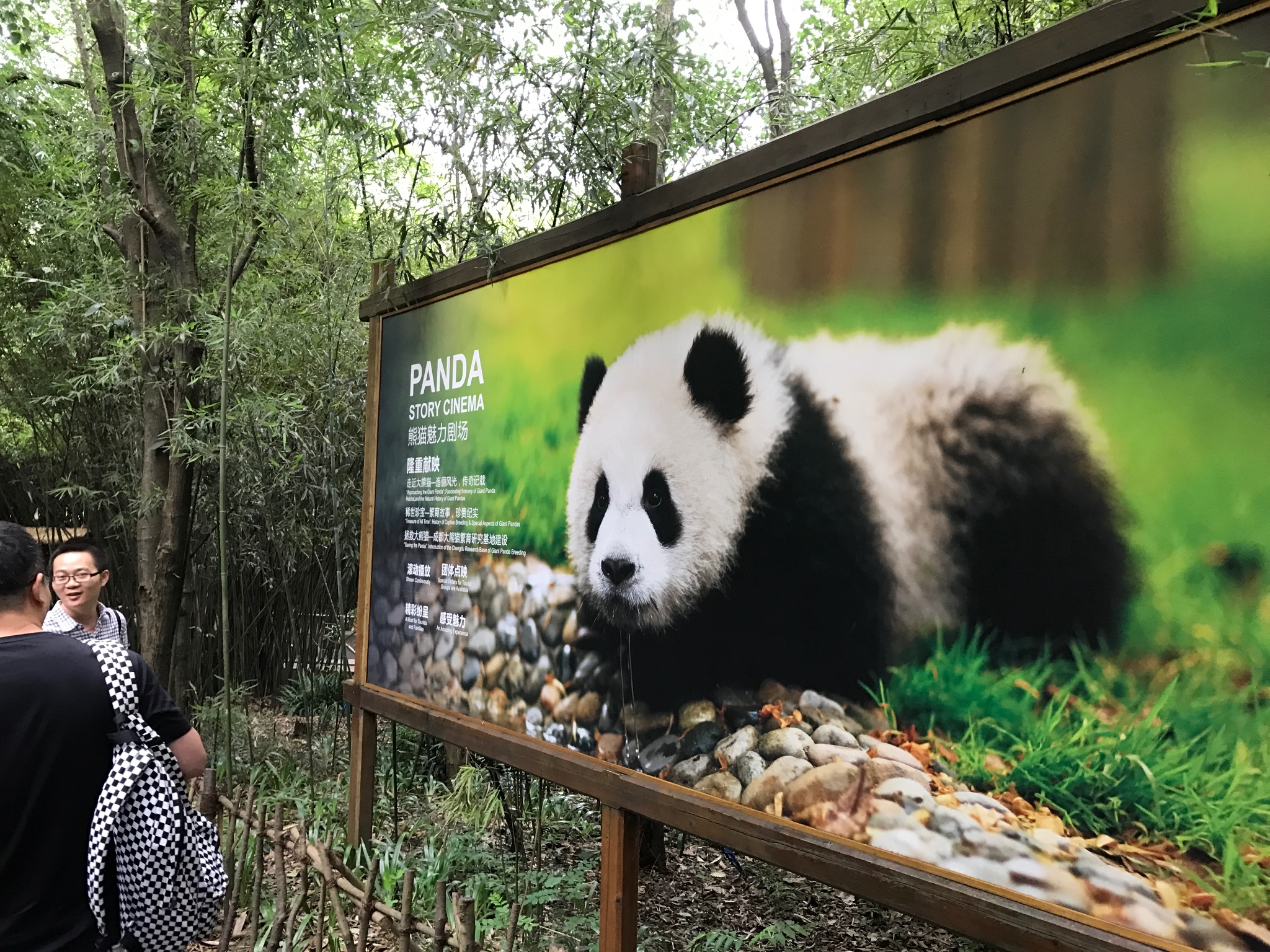 成都大熊猫繁育研究基地    