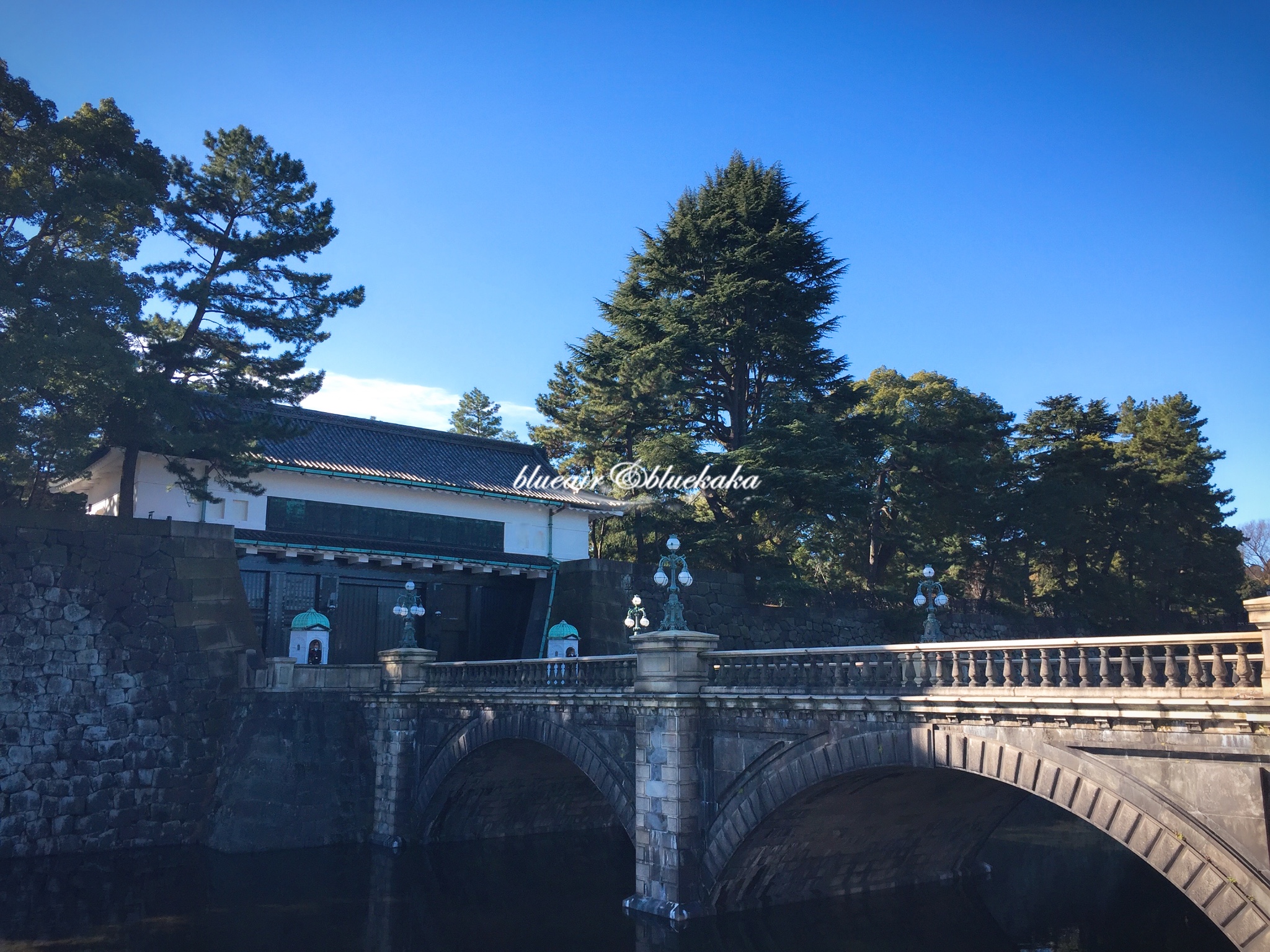 平成28年的城市游行-东京跨年7日自由行-满满