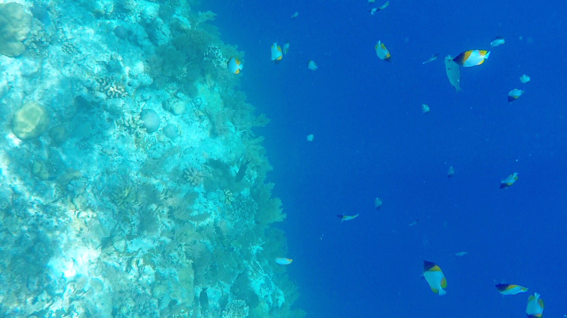 wKgBZ1ojylGAWSd0AAYij2Zi_CA29.jpeg?imageView2%2F2%2Fw%2F600%2Fh%2F600%2Fq%2F90