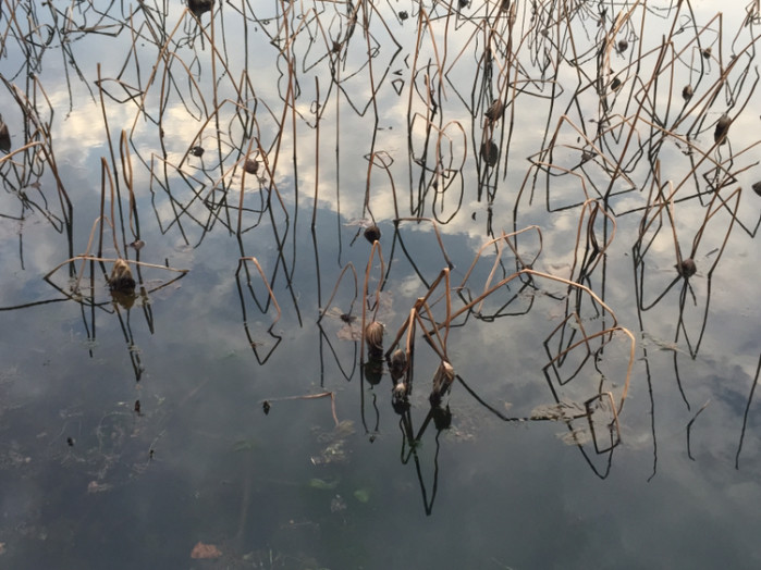 失恋!心情不好,精神压力过大,一个人想出去散散