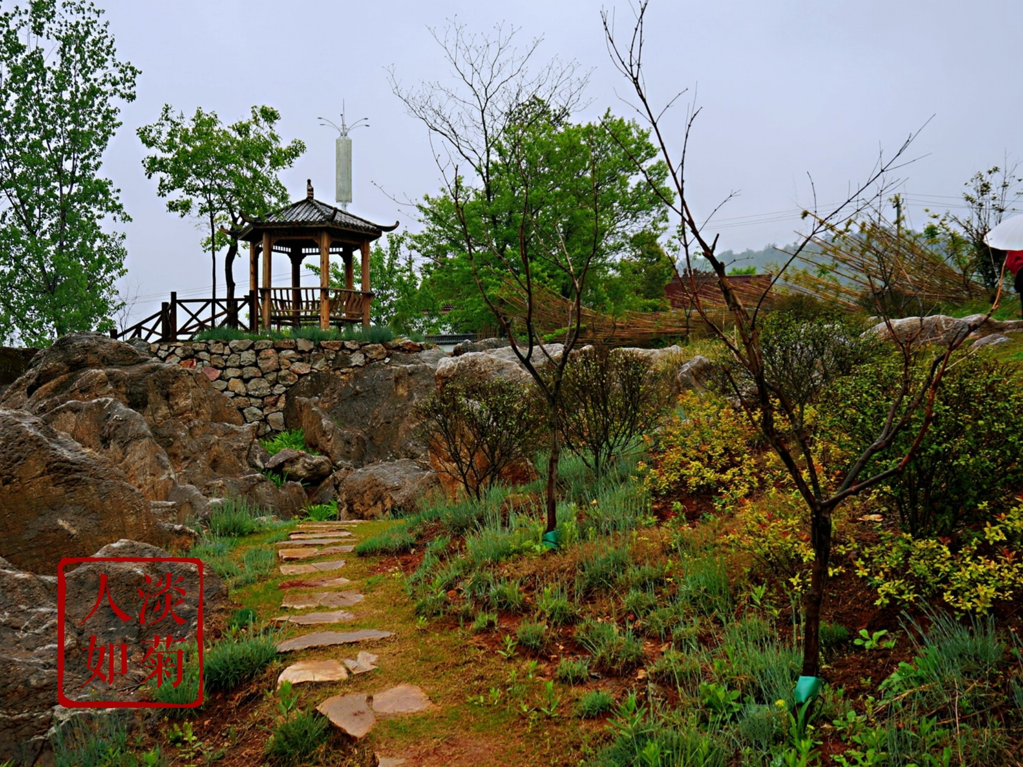 金陵探春--南京浦口行记,南京旅游攻略 - 马蜂窝