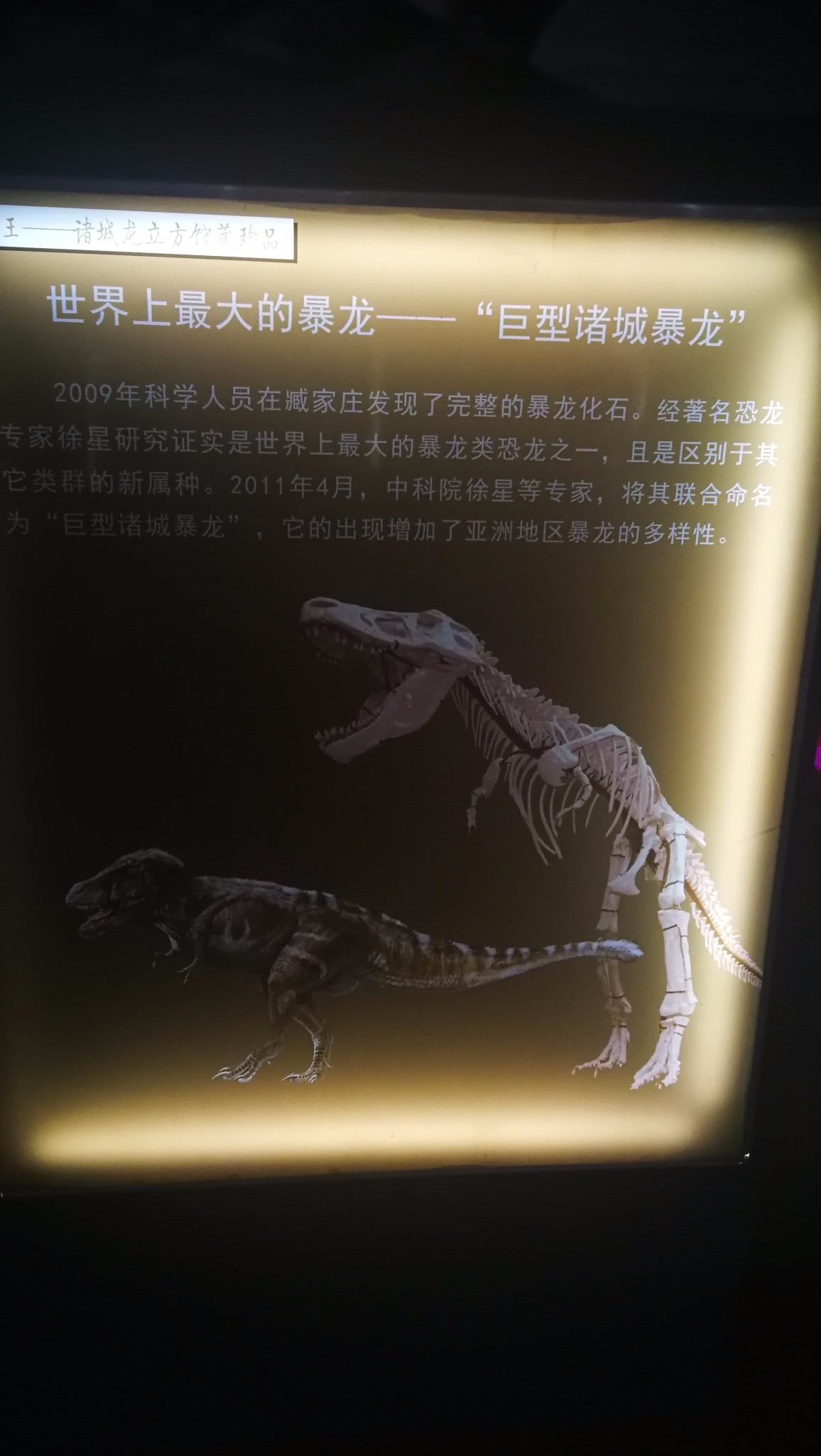 山东的龙城-诸城,白垩纪恐龙基地,千米龙涧,诸城暴龙