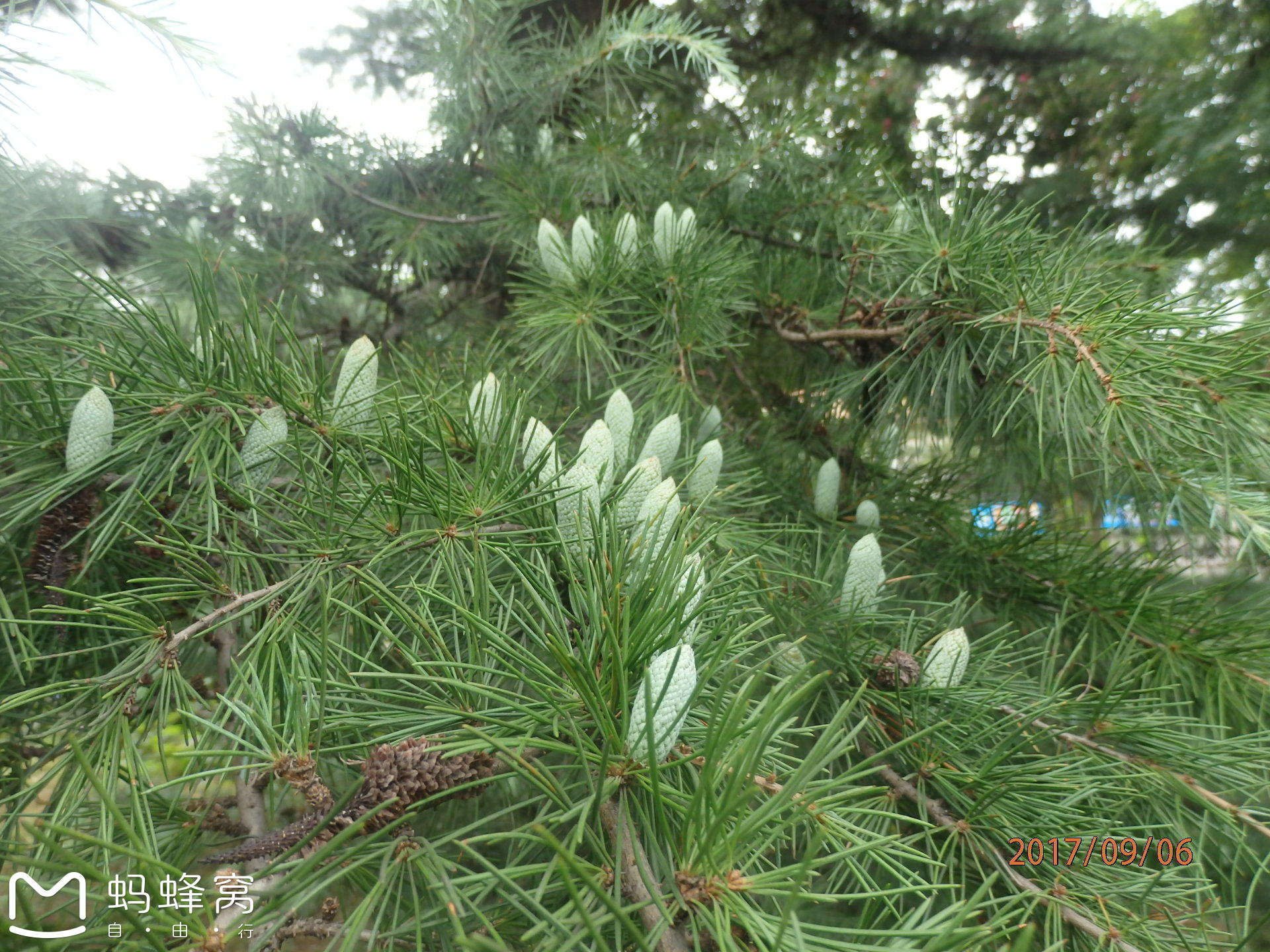 wKgBEFpPEf2AU2OvAAiidsW59Fg95.jpeg?imageView2%2F2%2Fw%2F600%2Fh%2F600%2Fq%2F90