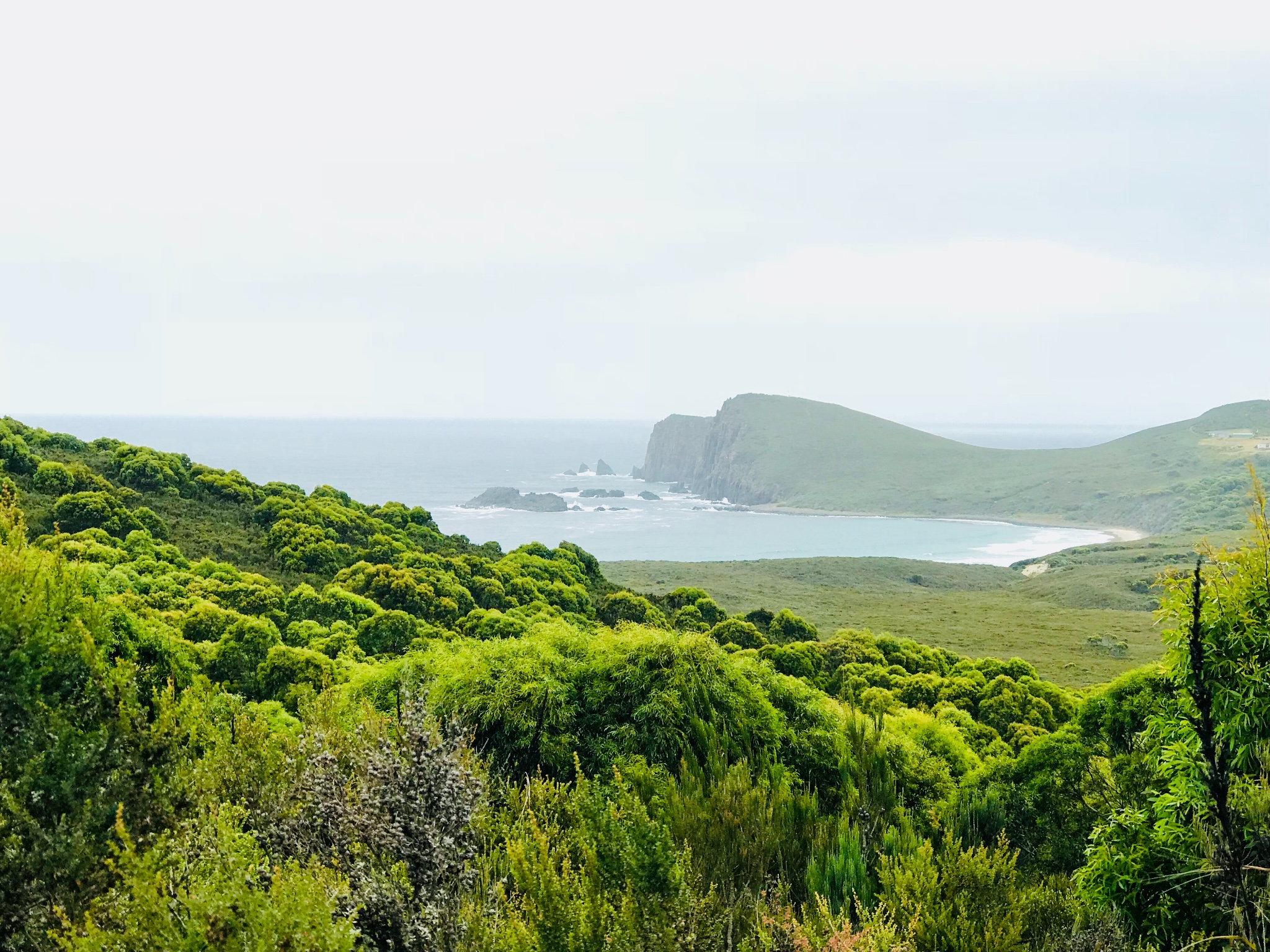 布鲁尼岛          