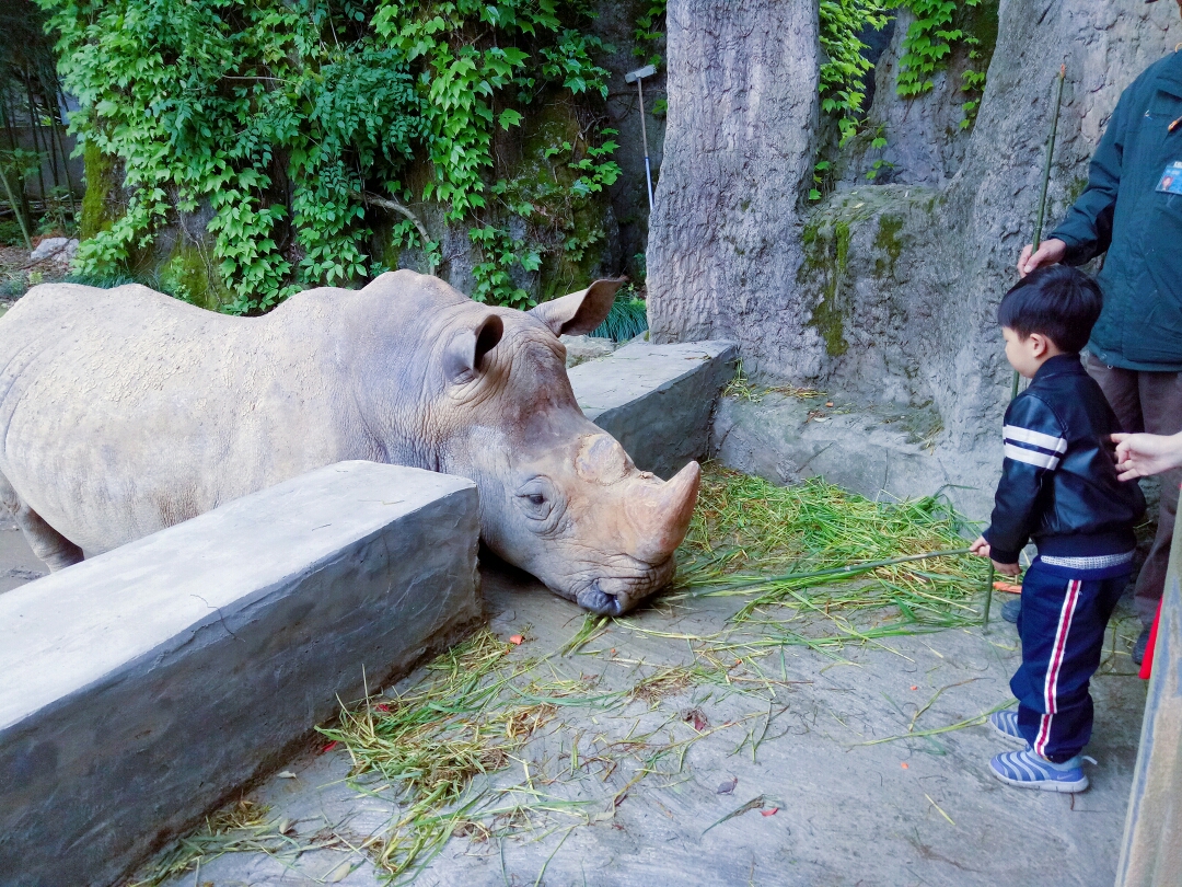 杭州野生动物园