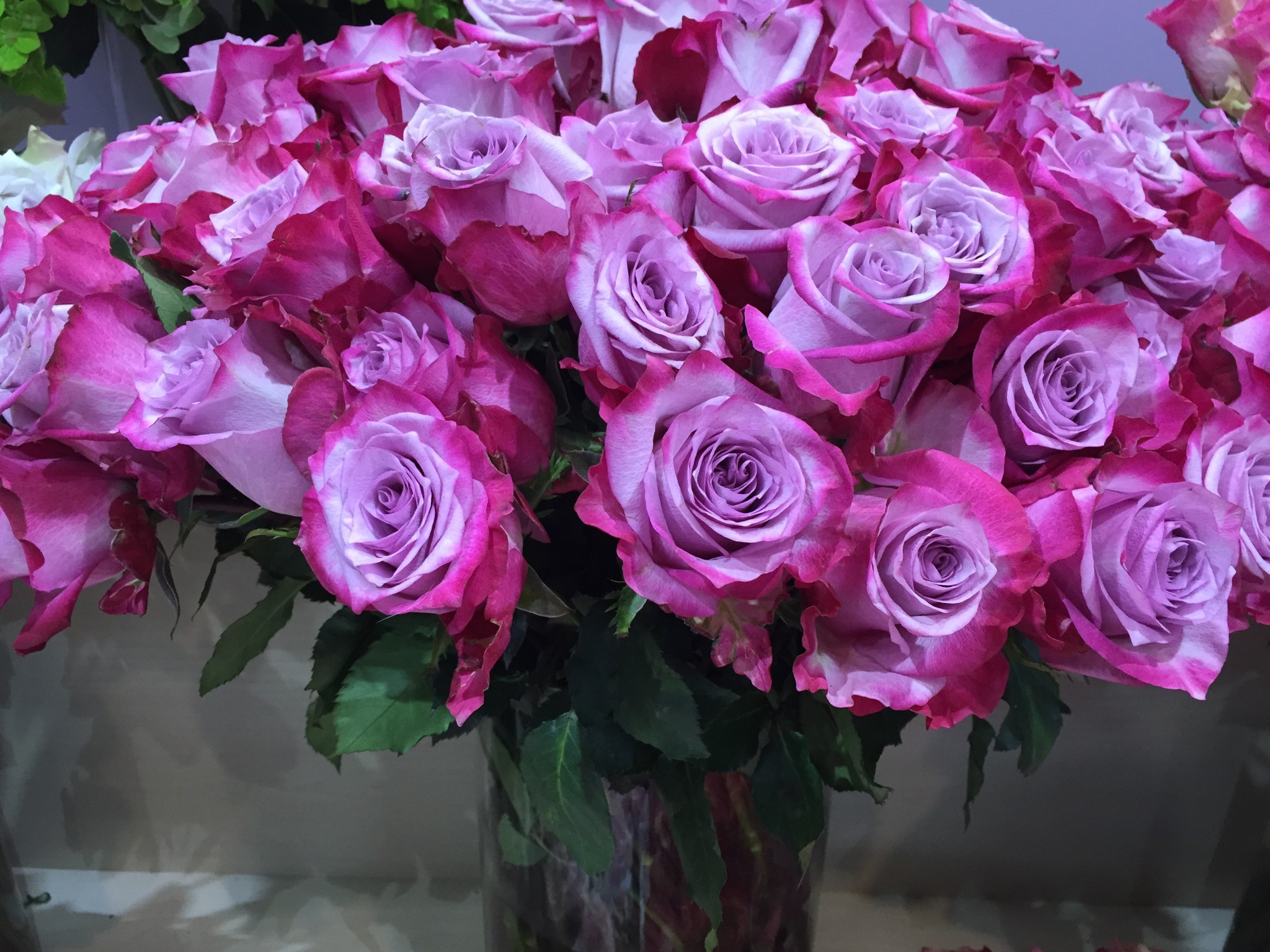 wKgBEFr5SquATPvUAApiW7TuAWI70.jpeg?imageView2%2F2%2Fw%2F600%2Fh%2F600%2Fq%2F90