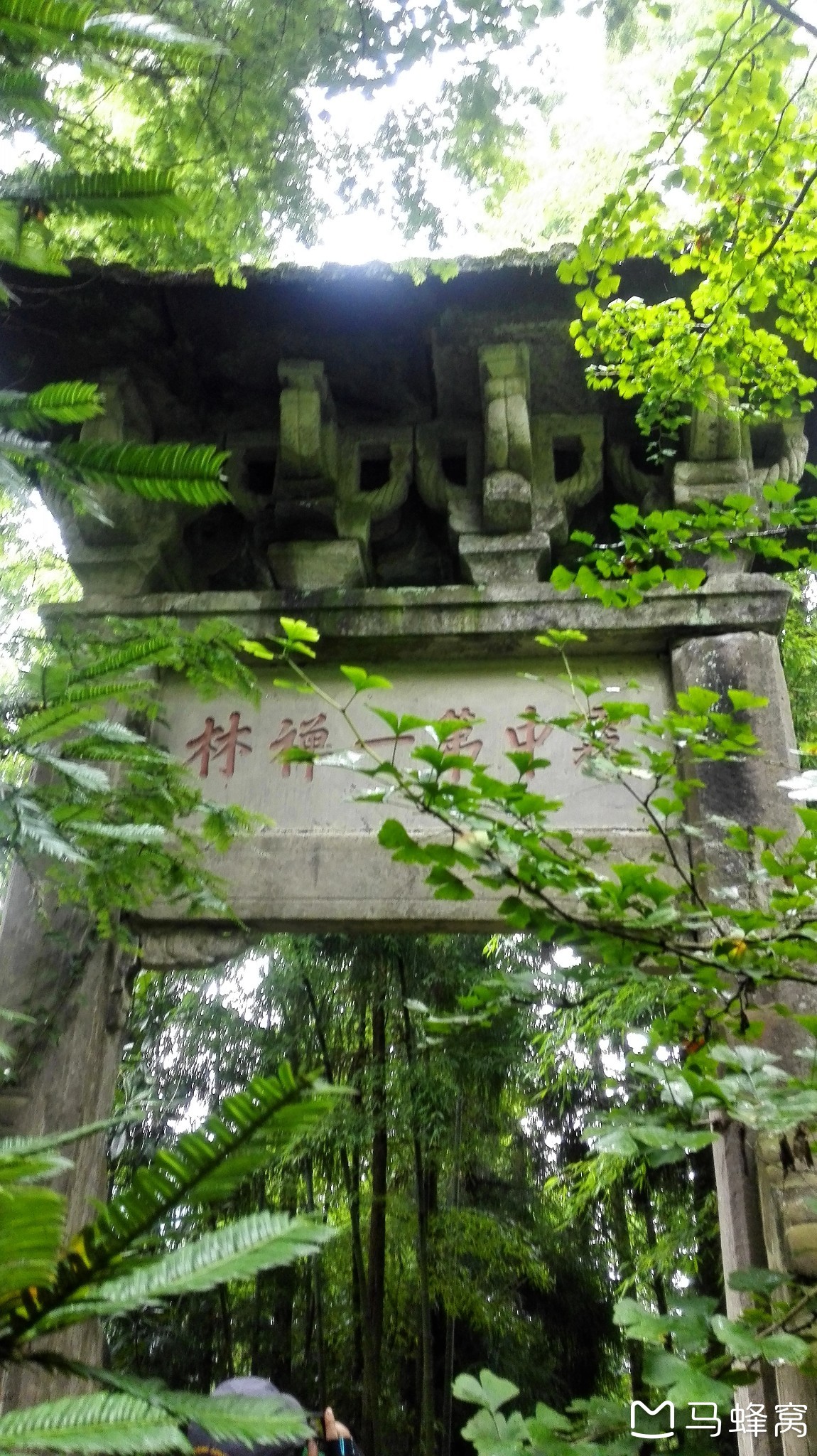 大邑鹤鸣山穿龙窝子穿雾中山开化寺