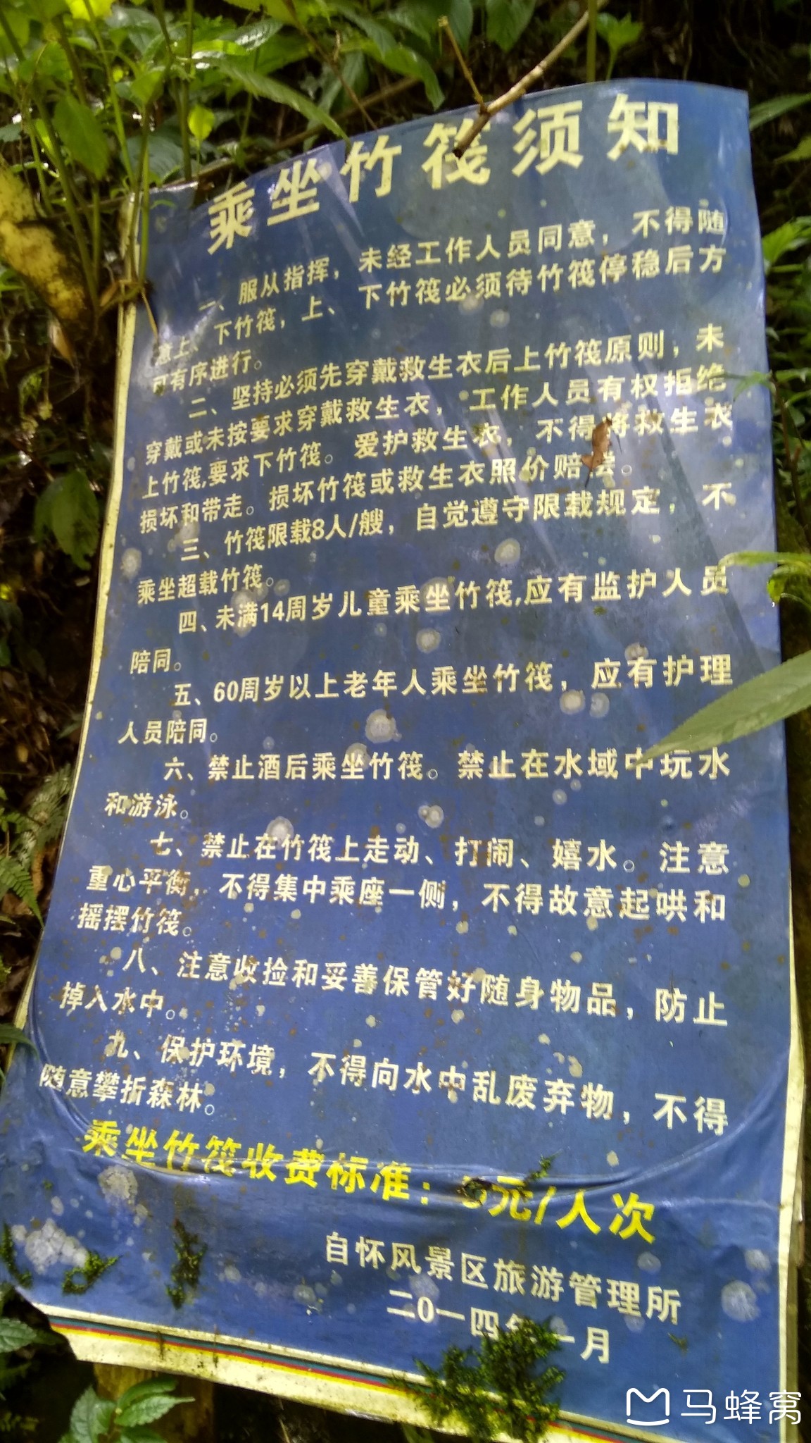 合江县有多少人口_一场果敢的直觉之旅 雅安合江镇万亩茶园(3)