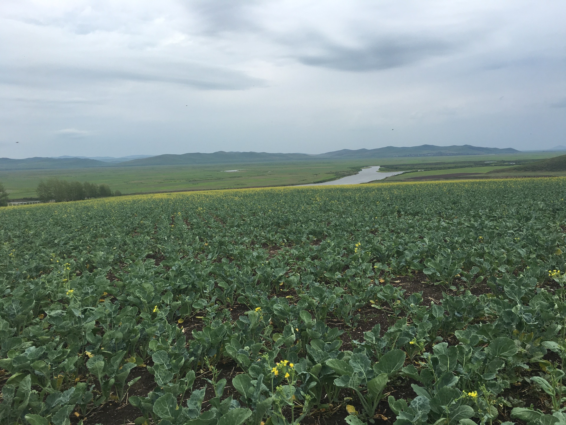 2018夏季呼伦贝尔拥抱草原感受奇幻的蓝天白